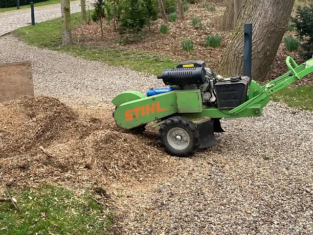 Stubfræsning Hillerød, Rodfræsning Hillerød, Rodfræsning pris, Rodfræsning hæk